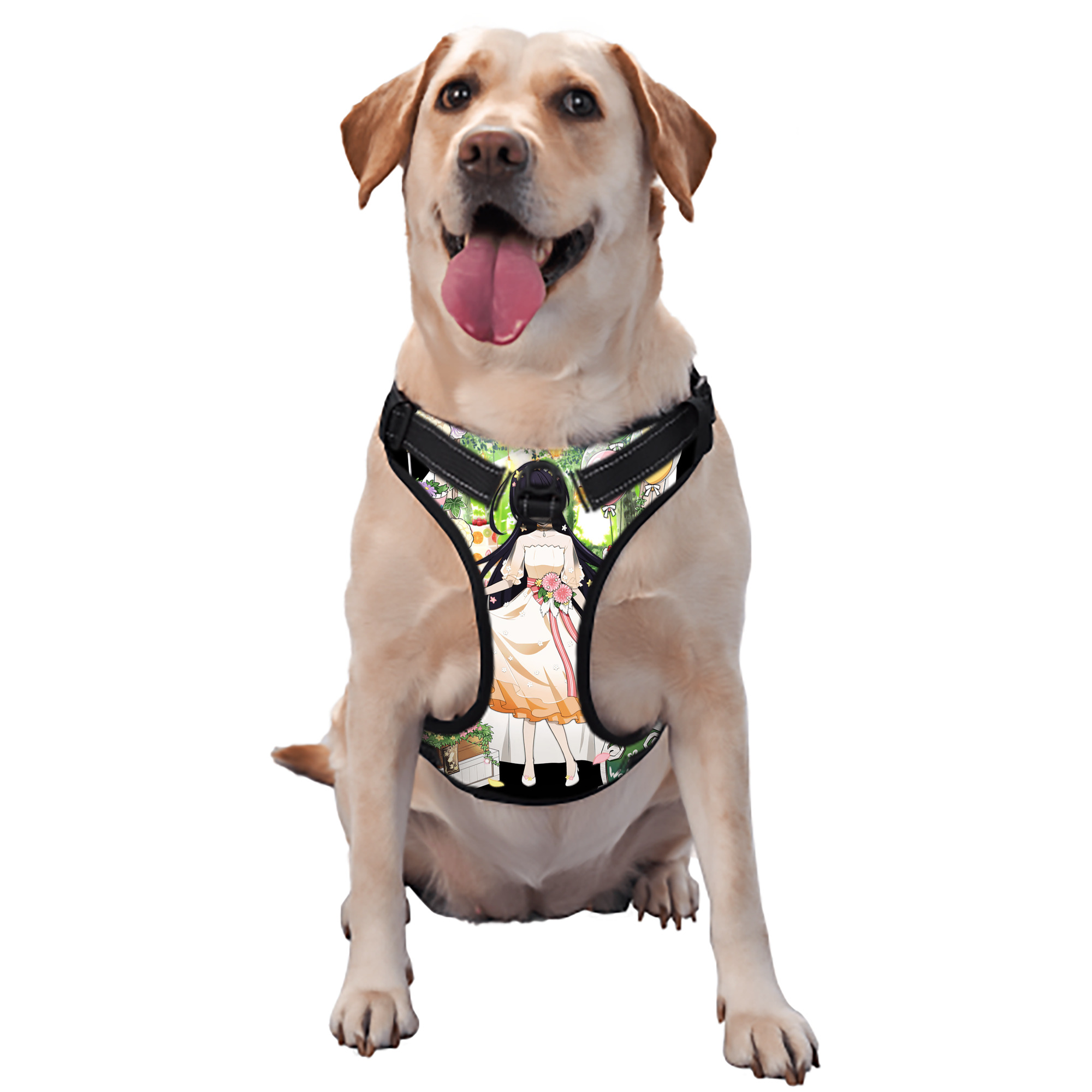 （画像用） 文豪ストレイドッグス Bungo Stray Dogs ペット用ハーネス